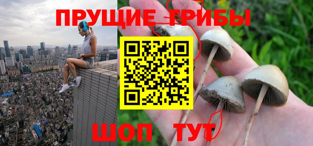 Псилоцибиновые грибы MAGIC MUSHROOMS Сунжа