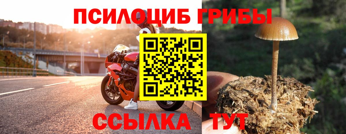 Галлюциногенные грибы мухоморы  Вход с VPN  где можно купить наркотик  Сунжа 